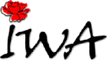 IWA Flowers