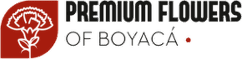 Premium Flowers of Boyacá