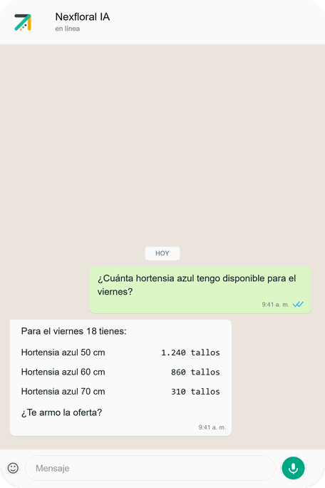 Conversación con el agente de Nexfloral por WhatsApp